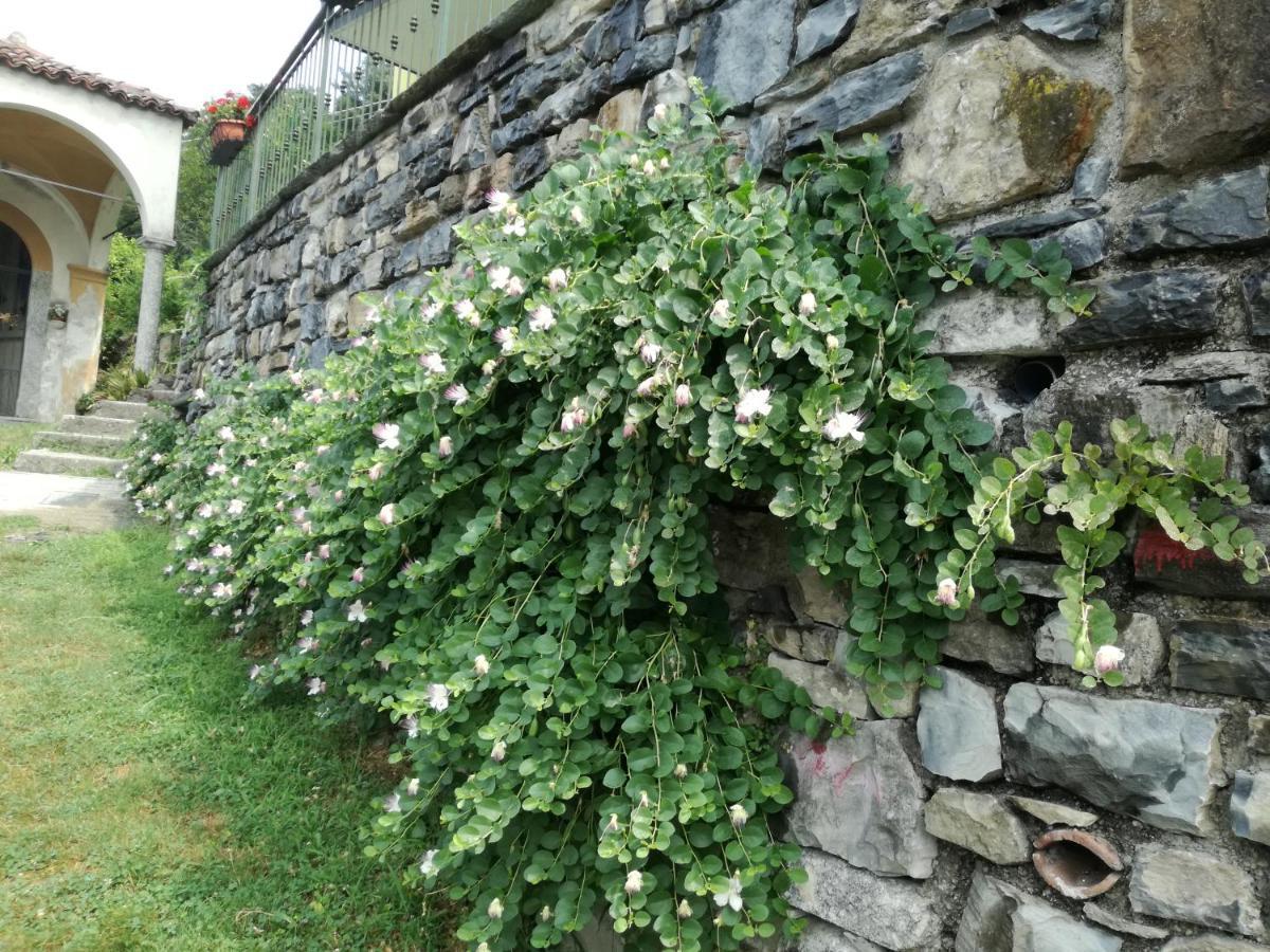 Апартаменти Balcone Dei Limoni Нессо Екстер'єр фото